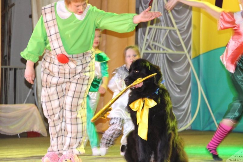 Фотография № 231413