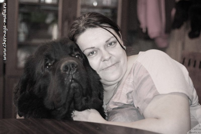 Фотография № 231453