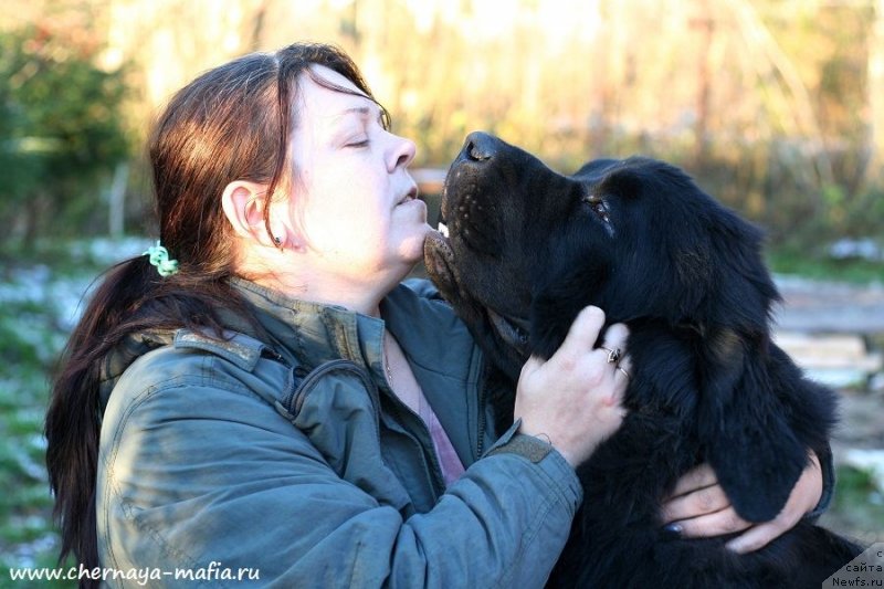 Фотография № 231456