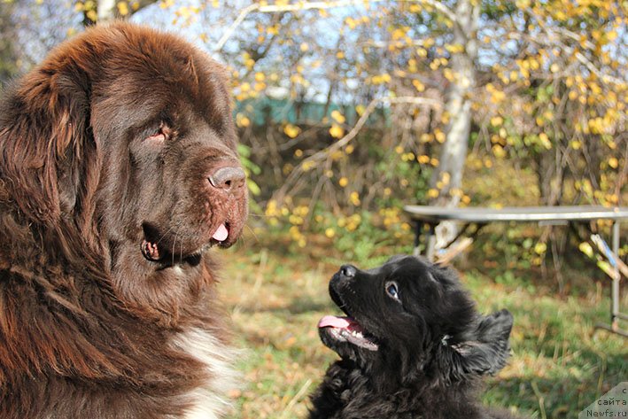 Фотография № 231461