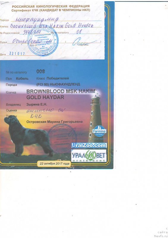 Фотография № 231488