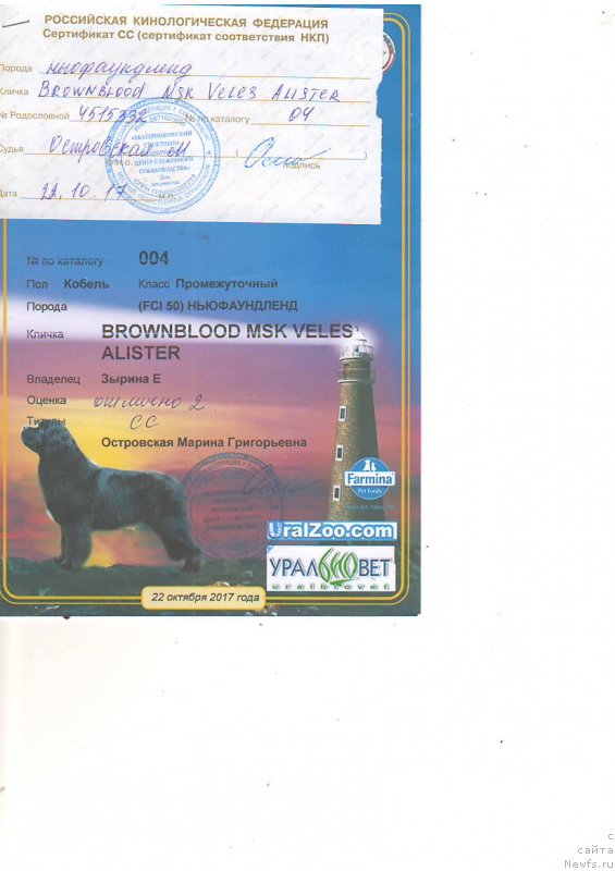 Фотография № 231490