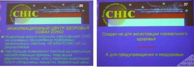 Фотография № 23151