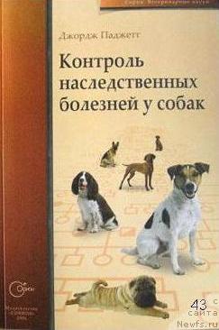 Фотография № 23153