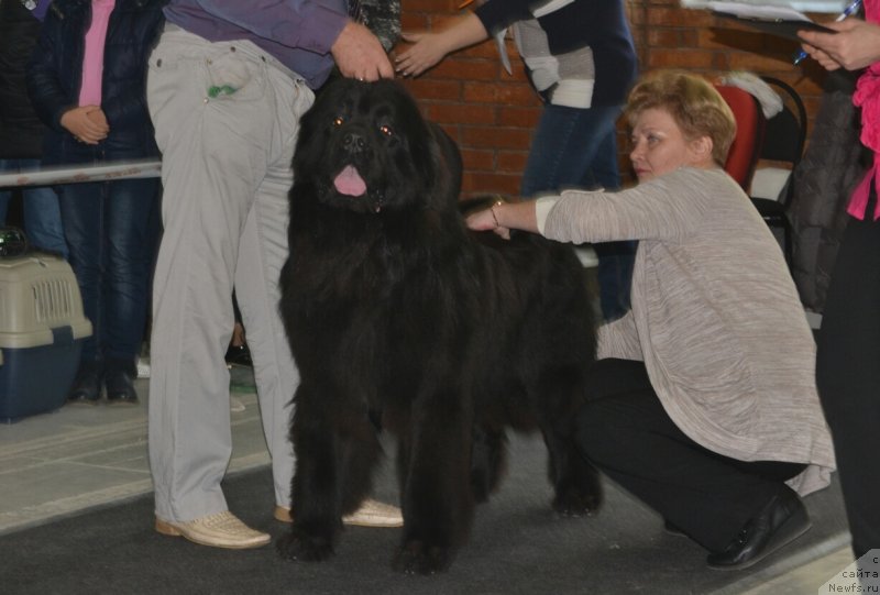 Фотография № 231561