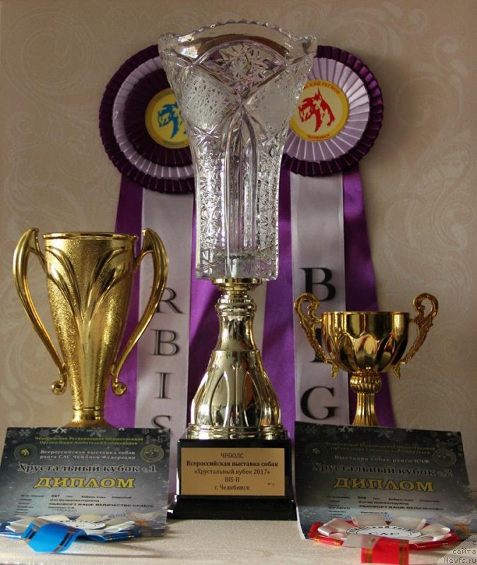 Фотография № 231568