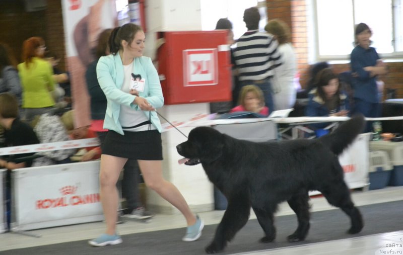 Фотография № 231569