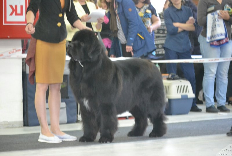 Фотография № 231571