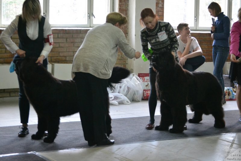 Фотография № 231572