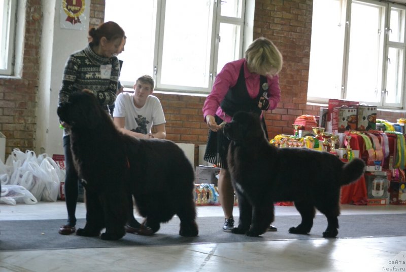 Фотография № 231573