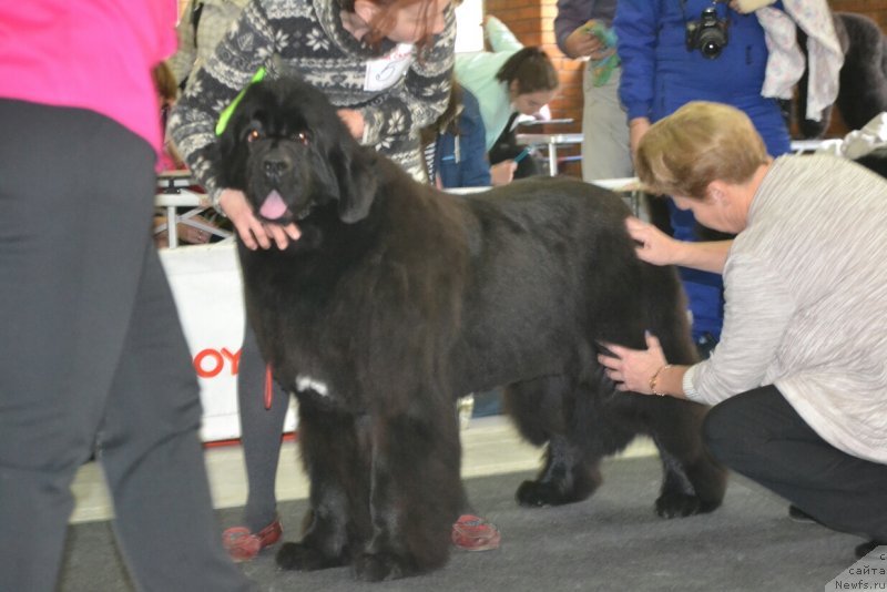 Фотография № 231574