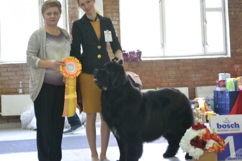 Фотография № 231577