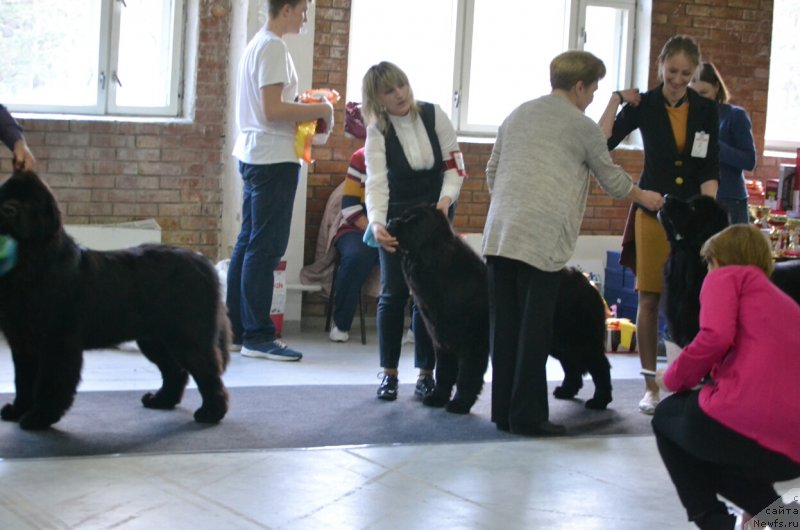 Фотография № 231578