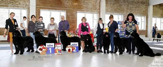 Фотография № 231589