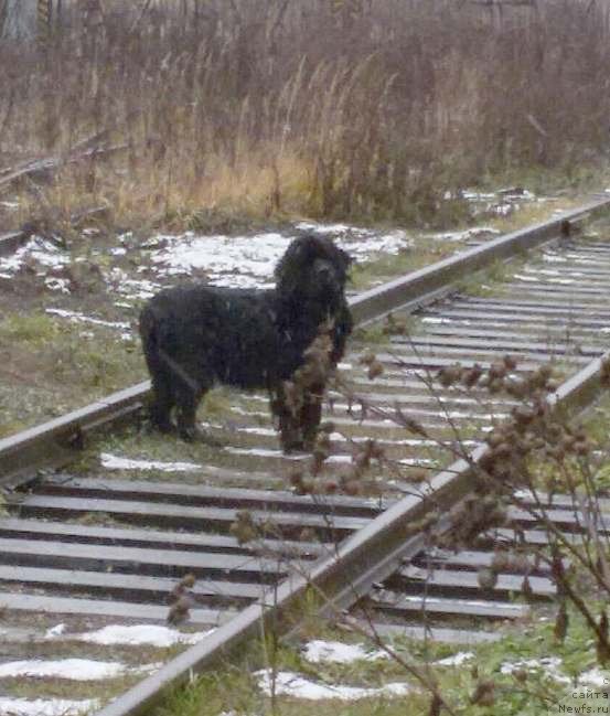 Фотография № 231590