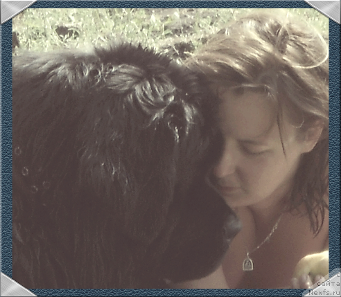 Фото: ньюфаундленд Акватория Келвин Импрессарио, Инна Бережная