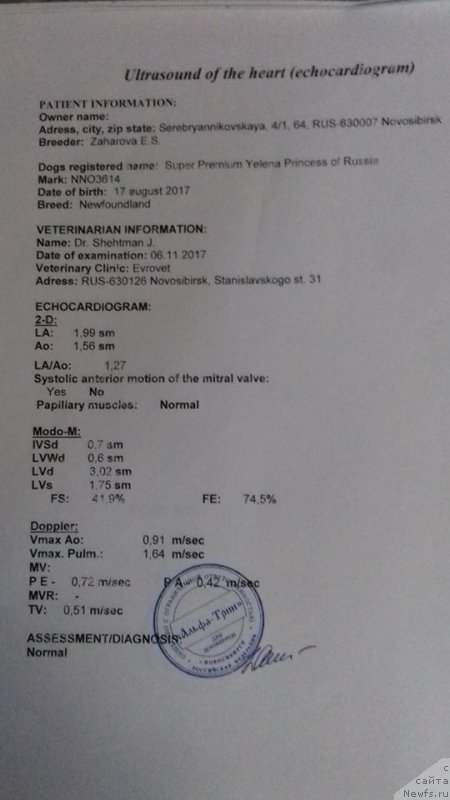 Фотография № 231635