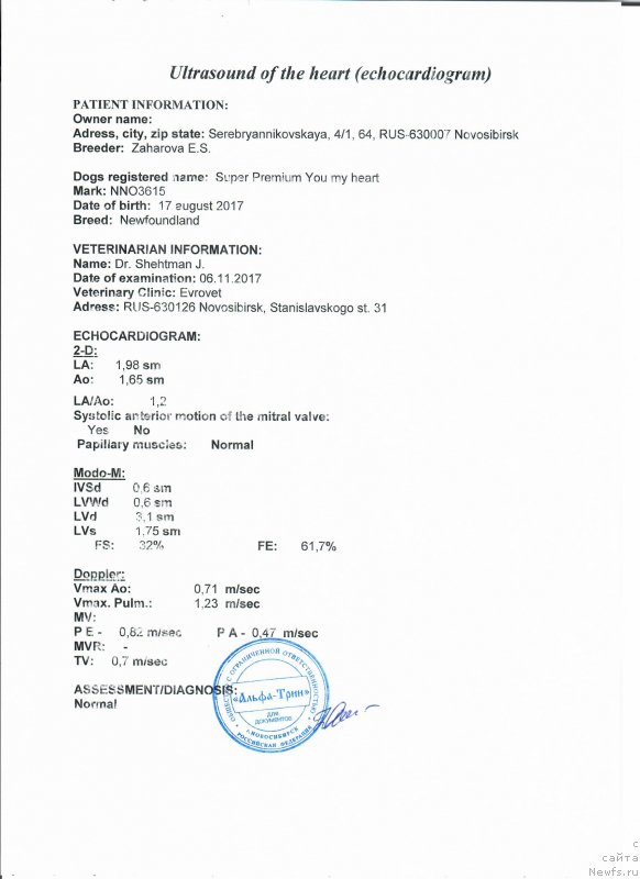 Фотография № 231638