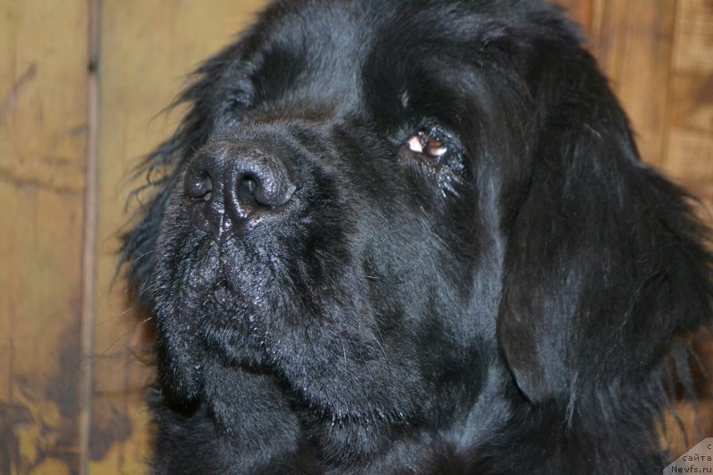 Фотография № 231640