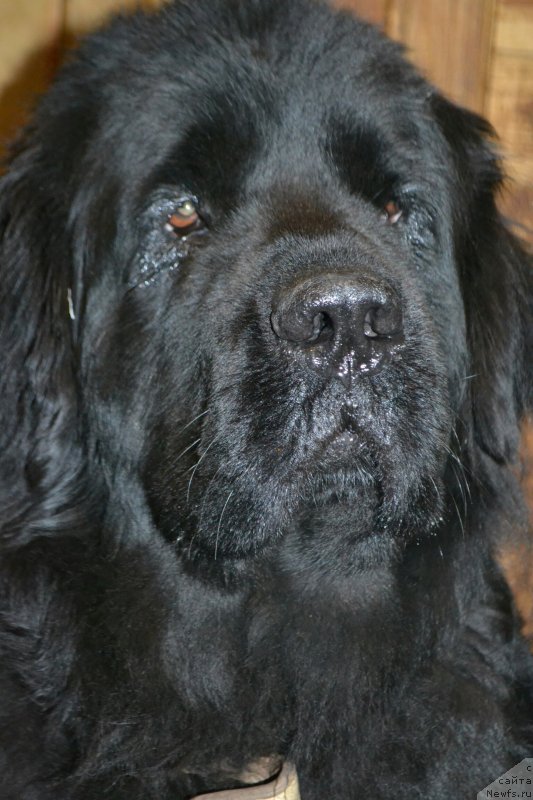 Фотография № 231641