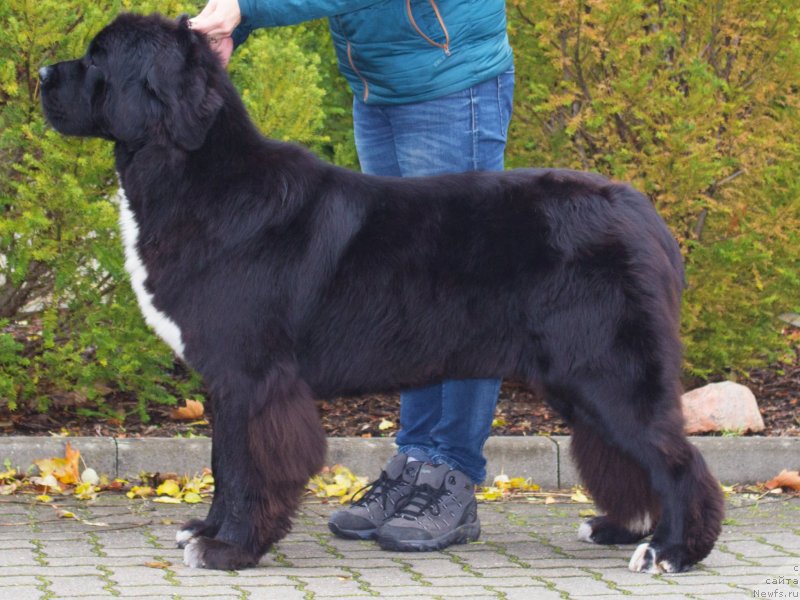 Фотография № 231653