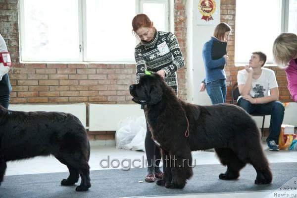 Фото: Моон Броок Еастерн Ехпресс (Moon Brook Eastern Express)