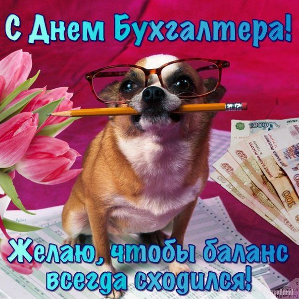 Фотография № 231733