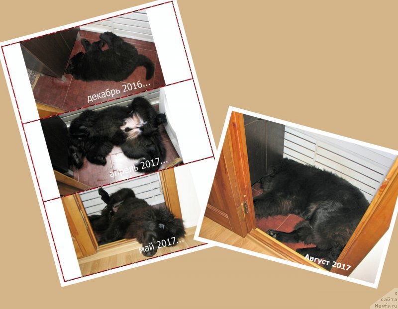 Фотография № 231736