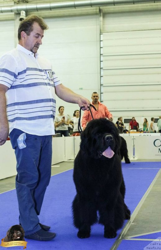 Фотография № 231783