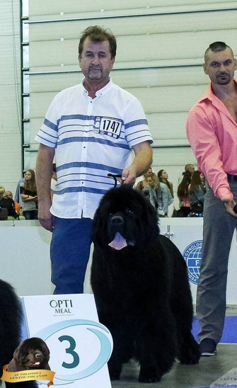 Фотография № 231784