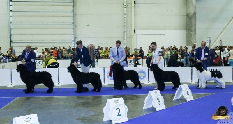 Фото: Виктор Хрищанович