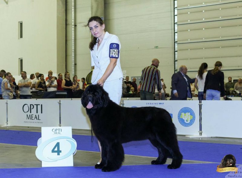 Фотография № 231788