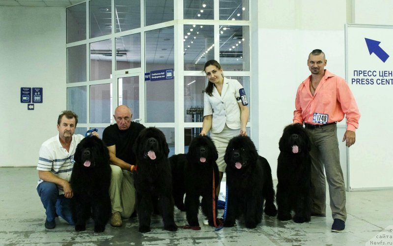 Фотография № 231789