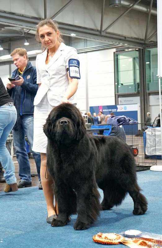 Фотография № 231791