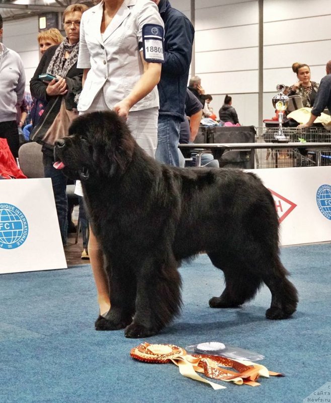 Фотография № 231792