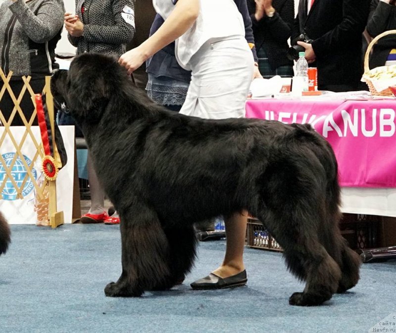 Фотография № 231793