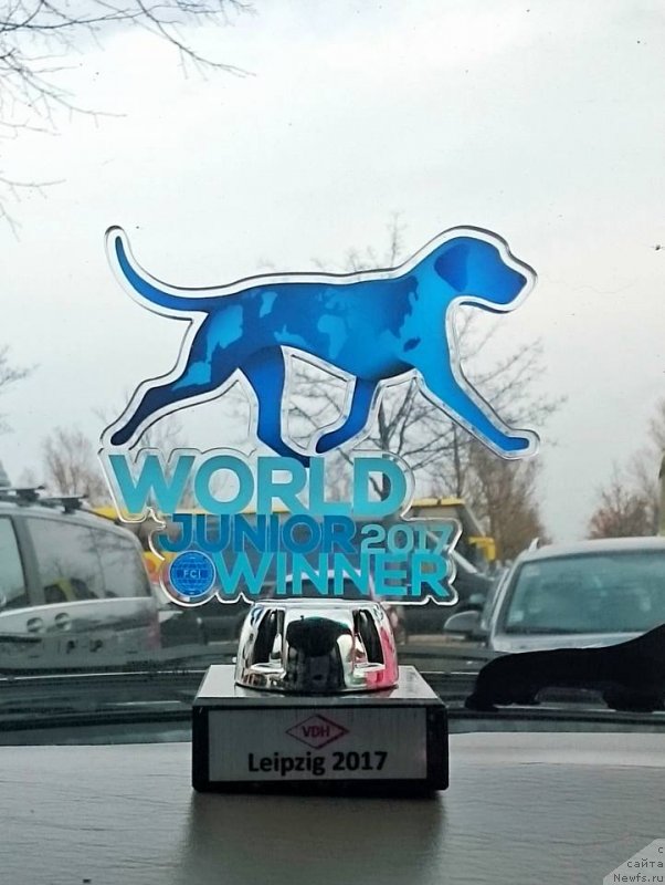 Фотография № 231795