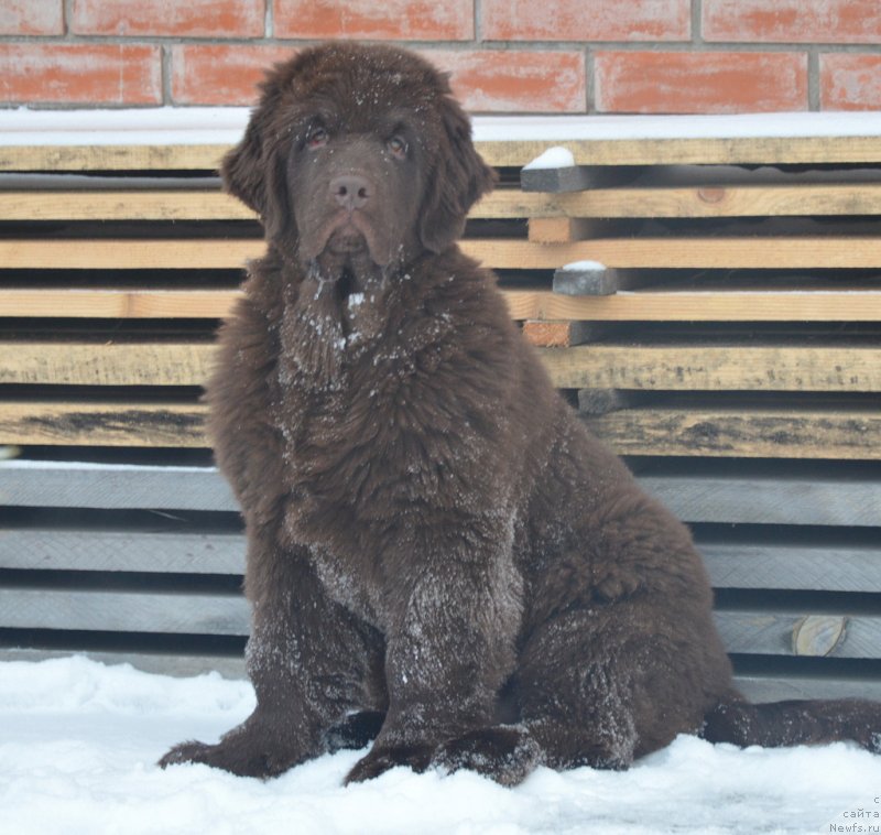 Фотография № 231813