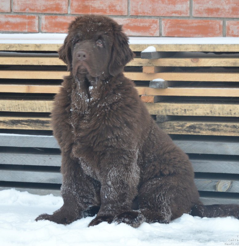 Фотография № 231814