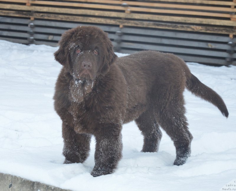 Фотография № 231816