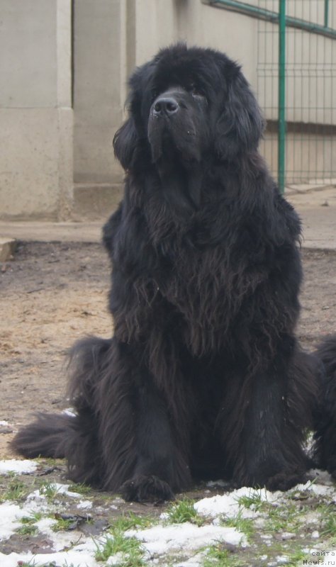 Фотография № 231844