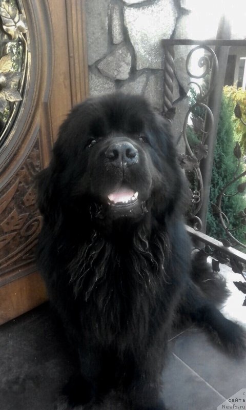 Фотография № 231846