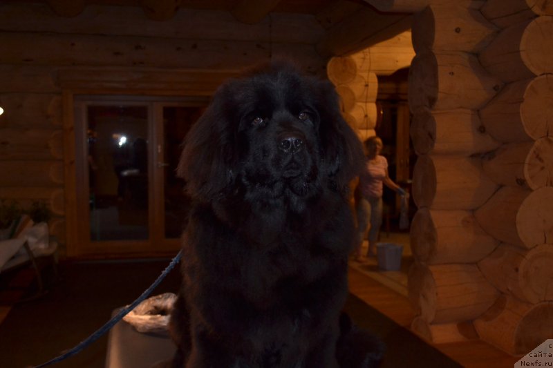 Фотография № 231852