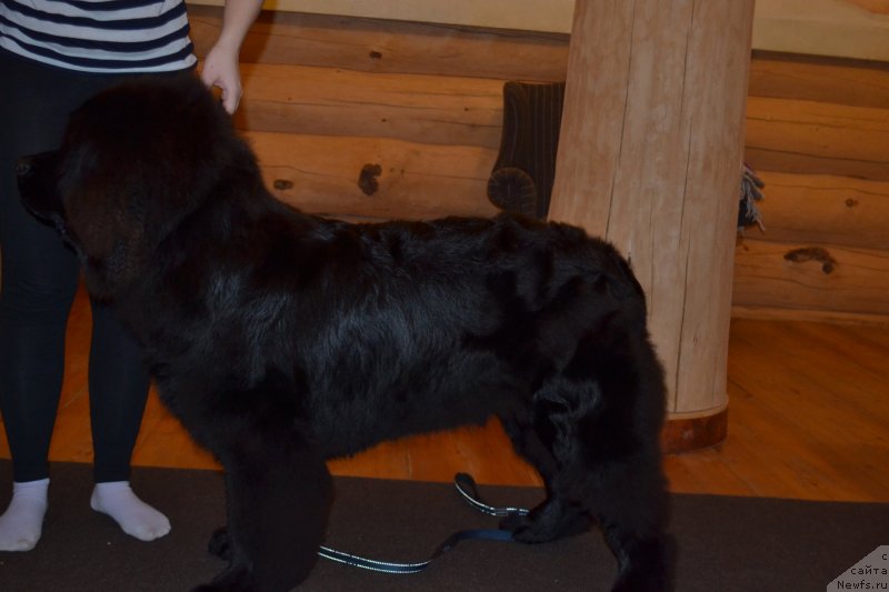 Фотография № 231853