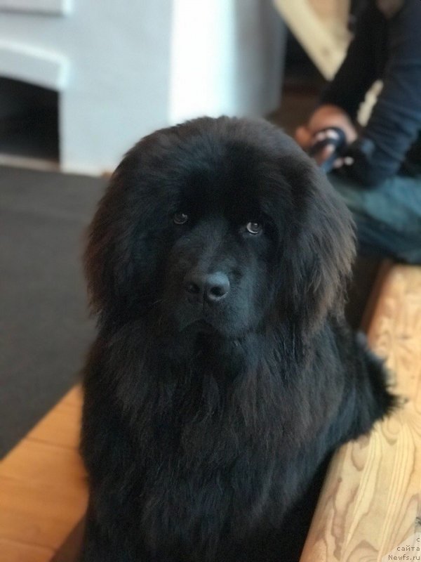 Фотография № 231855