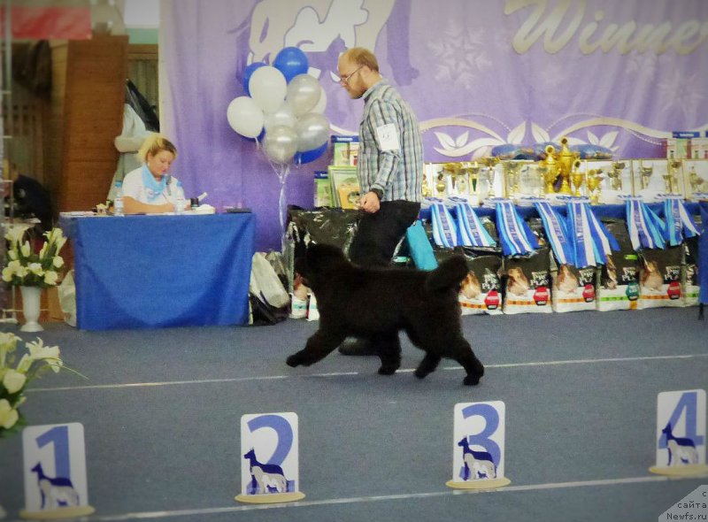 Фотография № 231857