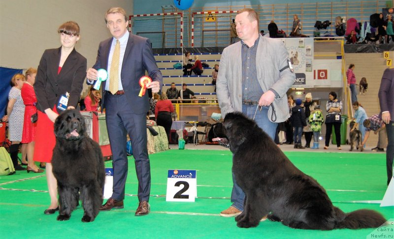 Фотография № 231891