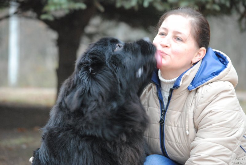 Фотография № 231900