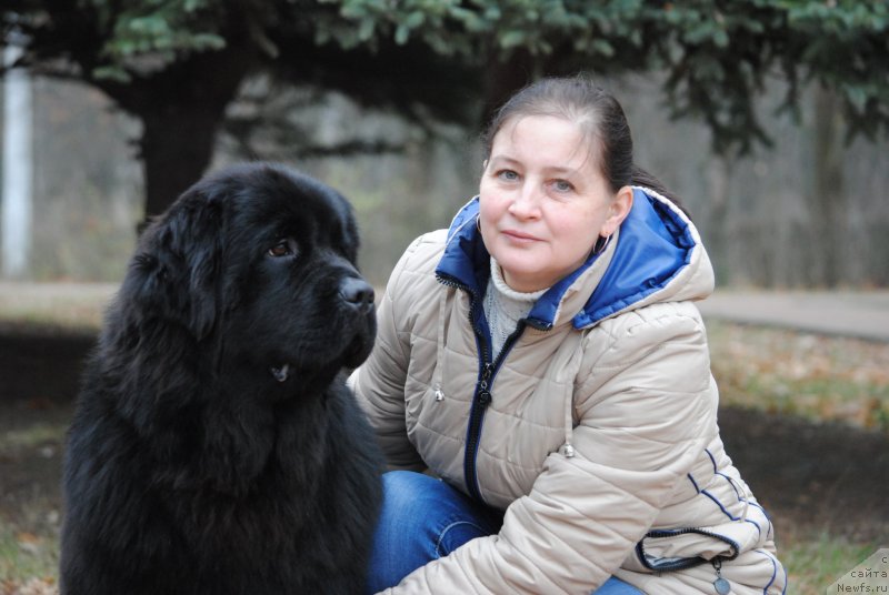 Фотография № 231901