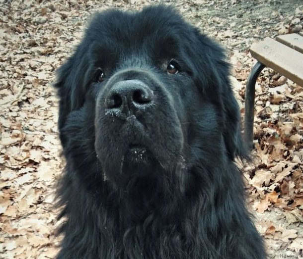 Фотография № 231916